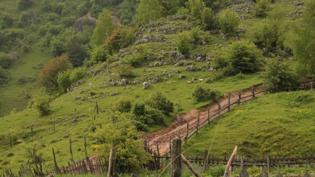 a grassy hill with trees and a fence